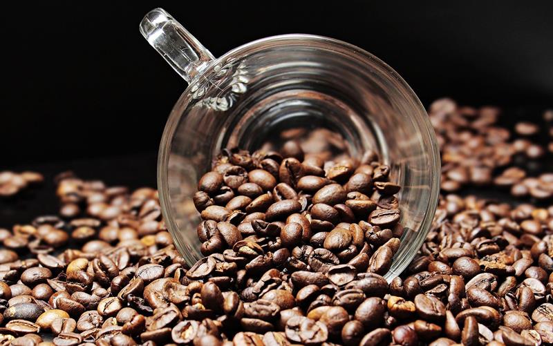 produção de café