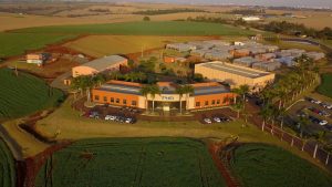 Com melhoramento genético, é possível produzir mais e melhor, além de alimentar e vestir o mundo com segurança