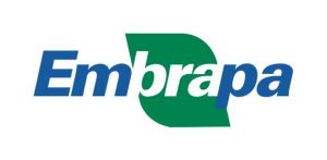 Embrapa apresenta soluções tecnológicas para a agricultura familiar na 20ª Expoagro Afubra