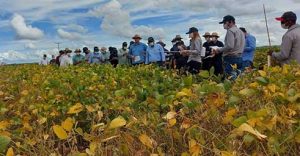 Cenário da ferrugem na safra 2021/22 foi de baixo impacto, mas produtor não pode descuidar