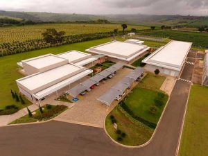 Sumitomo Chemical envia pedidos de registro para o novo herbicida Rapidicil™