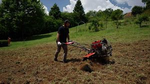 Branco Motores lança linha de tratoritos a diesel na Agrishow 2022