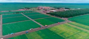 5G chega para revolucionar o agronegócio brasileiro