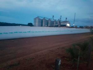 Grupo Nortène leva soluções para multicultivo na Agrishow