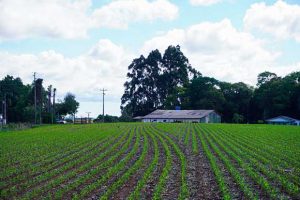 Sistema inteligente para plantio é destaque na AgroBrasília
