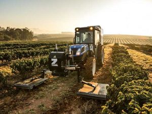 Produtores de citros e café podem contar com tecnologia que elimina daninhas sem herbicidas