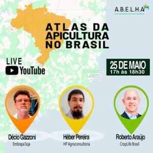Webinar A.B.E.L.H.A. debate o futuro da apicultura e sua integração com a agricultura