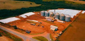 Cooperativa aposta em silos-bolsa para aumentar capacidade de armazenamento de grãos