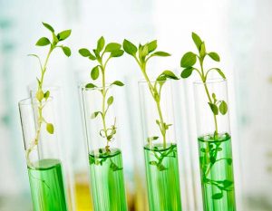 Next Generation Evonik: próxima fase da transformação estratégica