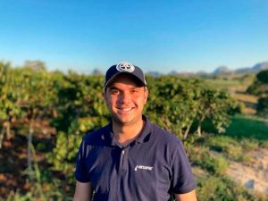 Irrigação localizada ajuda a reduzir custos com energia elétrica