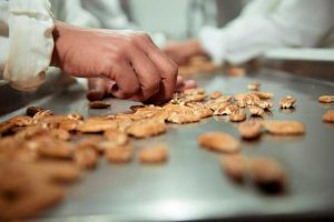 Brasileiros buscam novos mercados para a noz-pecã em Dubai