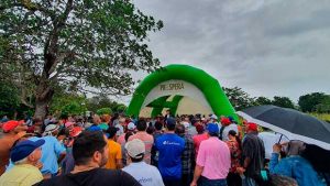 Programa Prospera fortalece cadeia produtiva de milho no Nordeste