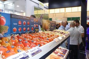 Open Field Day bate recorde de público e horticultores conhecem as novidades da Agristar do Brasil para o setor