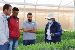 Open Field Day bate recorde de público e horticultores conhecem as novidades da Agristar do Brasil para o setor