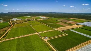 Agrotecnologia: Agrivale adota telemetria na produção de uvas