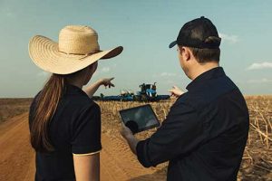 ConectarAGRO participa de lives da plataforma “Broto” do Banco do Brasil