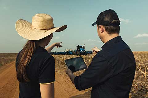 Áreas rurais com cobertura 4G ou 5G aumentam de 18,7% para 33,9% em um ano, aponta ConectarAGRO
