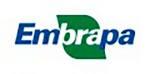 Embrapa abre inscrições para curso on-line sobre uso e manejo de irrigação