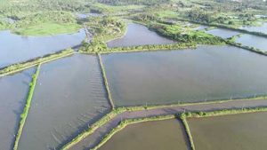 Vencedora do Prêmio Mulheres do Agro é destaque em pesquisa e desenvolvimento no nordeste