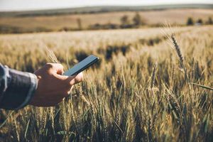 CRM agronômico, big data e analytics com foco na cadeia de distribuição de insumos serão destaque no Andav