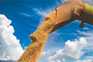 Maior evento gratuito ESG para o agronegócio acontece na terça