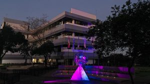 Metodologia BIM: PTI-BR é especialista na solução para o setor de engenharia