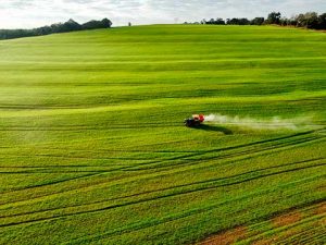 Uso de sulfato de cálcio eleva produção da soja no Oeste do Paraná