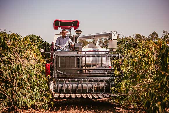 Viabilizar acesso à tecnologia aos pequenos e médios produtores, é proposta da YANMAR na Agrishow