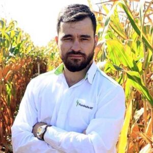 Solo arenoso é desafio para o algodão