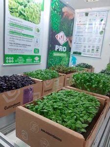 Com microverdes e alfaces de alto desempenho, ISLA marca presença em evento Latino-Americano de Hidroponia