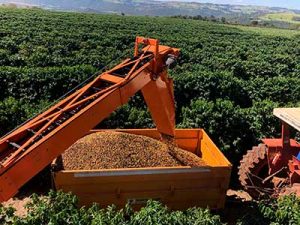 Tecnologia irlandesa testada nos cafezais brasileiros será apresentada no Encoffee 2022