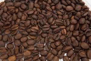 Franca (SP) recebe o III Simpósio Brasileiro de Manejo Biológico da Cultura do Café