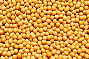 Embrapa participa do Congresso Brasileiro de Sementes