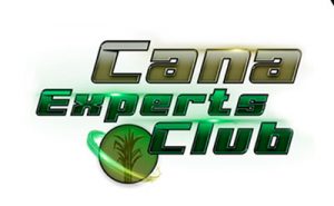 ICL lança Cana Experts Club para profissionais do setor sucroenergético