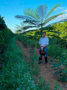 Com ecossistema 100% equilibrado, fazenda mineira de café não utiliza insumos químicos na plantação