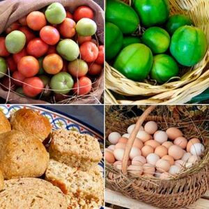 Congresso Brasileiro de Ciência e Tecnologia de Alimentos será realizado em novembro