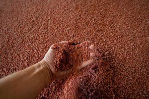Sindiadubos divulga projeções para o mercado de fertilizantes no Brasil em Simpósio