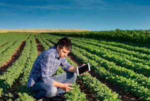 Embratel anuncia parceria com Broto para comercialização de solução para agronegócio