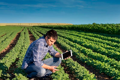 Broto fecha parceria com Agrotoken e passa a receber em grãos digitais