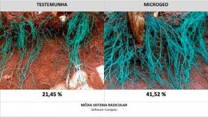 Usina dribla adversidades e reporta ganho de 23 TCH com manejo biológico