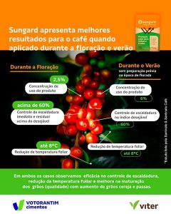 Estudo aponta que uso de protetor solar para folhas e frutos aumenta em até 27% a produtividade da plantação de café