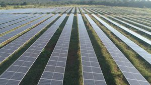 Safira Solar firma parceria com a Oi para fornecer energia solar e realizar a gestão energética de clientes