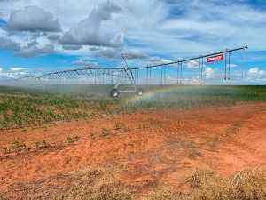 Projeto inédito de irrigação terá equipamentos movidos a energia solar