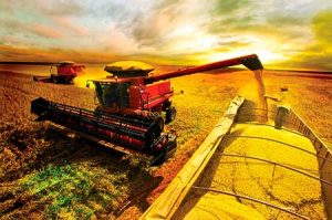 ‘Red November’ oferece descontos de até 70% no e-commerce de peças da Case IH