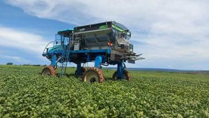 Como utilizar a agricultura de precisão a seu favor