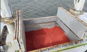 Descarga de fertilizantes se mantém em ritmo acelerado nos portos de Paranaguá e Antonina