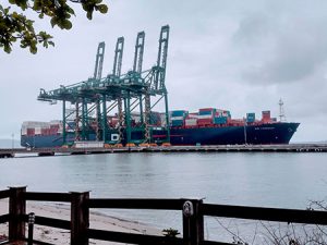 Porto Itapoá recebe navio com 347 metros de comprimento linear, o maior de sua história