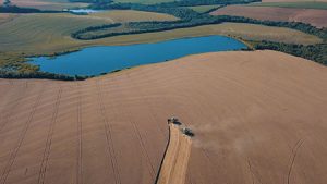 Dia do Trigo: com cenário atual, cultura ganha protagonismo no agronegócio brasileiro