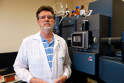 Polinização inadequada significa prejuízo