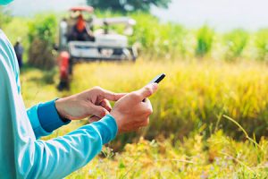 Software é o segredo da eficiência de produtor na gestão agrícola